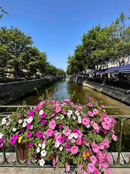 Lou Paseo : Appartement Brocante Centre Historique LʼIsle-sur-la-Sorgue Exterior foto