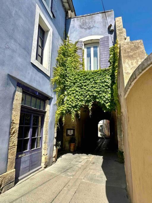 Lou Paseo : Appartement Brocante Centre Historique LʼIsle-sur-la-Sorgue Exterior foto